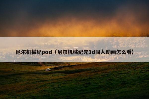 尼尔机械纪pod（尼尔机械纪元3d同人动画怎么看）