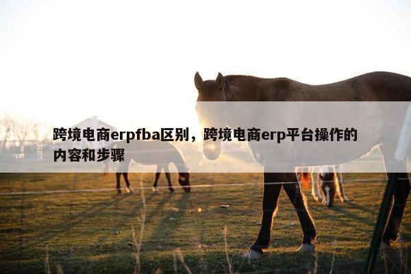 跨境电商erpfba区别，跨境电商erp平台操作的内容和步骤