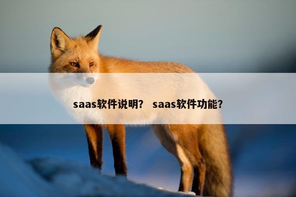 saas软件说明？ saas软件功能？