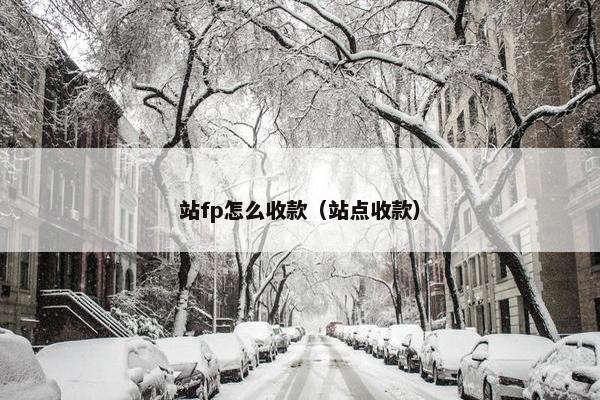 站fp怎么收款（站点收款）