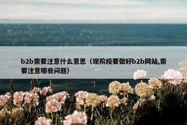 b2b需要注意什么意思（现阶段要做好b2b网站,需要注意哪些问题）