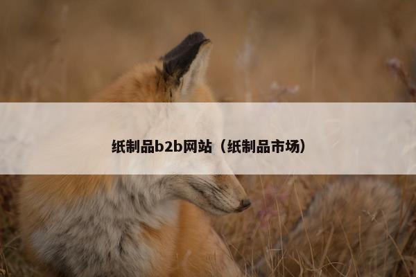 纸制品b2b网站（纸制品市场）