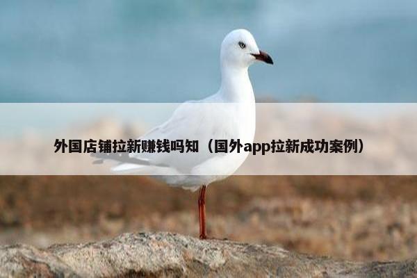 外国店铺拉新赚钱吗知（国外app拉新成功案例）
