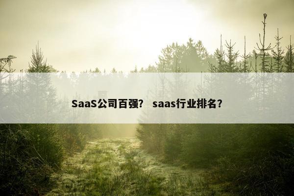 SaaS公司百强？ saas行业排名？