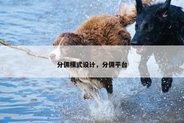 分佣模式设计，分佣平台