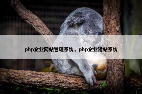 php企业网站管理系统，php企业建站系统
