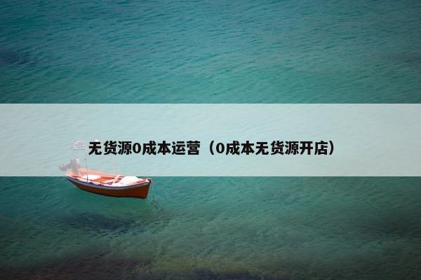 无货源0成本运营（0成本无货源开店）