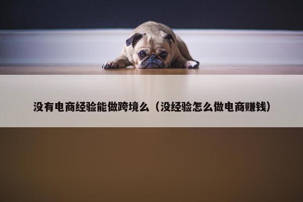 没有电商经验能做跨境么（没经验怎么做电商赚钱）