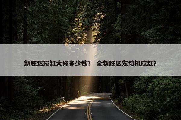 新胜达拉缸大修多少钱？ 全新胜达发动机拉缸？