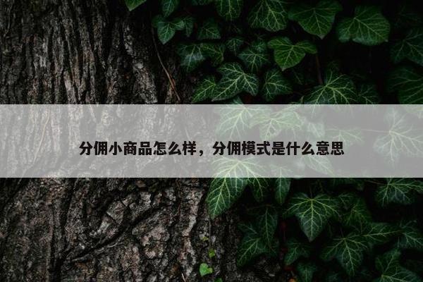 分佣小商品怎么样，分佣模式是什么意思