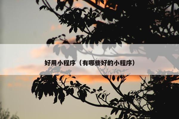 好用小程序（有哪些好的小程序）