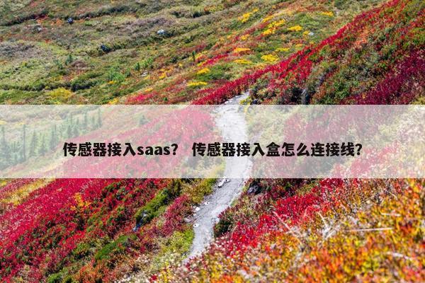 传感器接入saas？ 传感器接入盒怎么连接线？