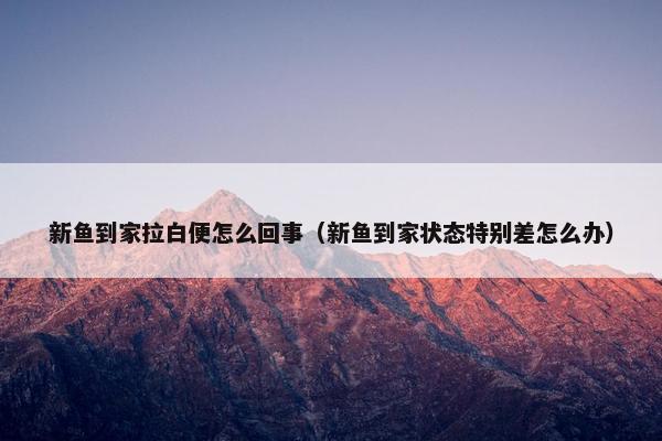 新鱼到家拉白便怎么回事（新鱼到家状态特别差怎么办）