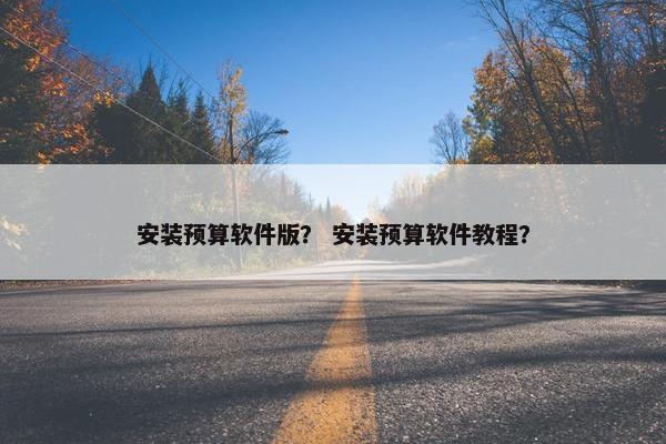 安装预算软件版？ 安装预算软件教程？
