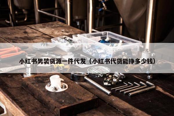 小红书男装货源一件代发（小红书代货能挣多少钱）