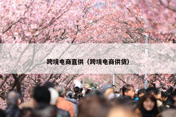 跨境电商直供（跨境电商供货）