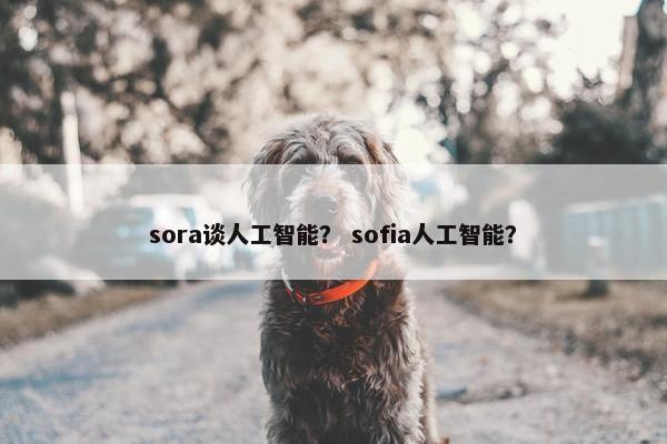 sora谈人工智能？ sofia人工智能？