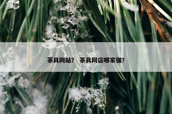 茶具网站？ 茶具网店哪家强？