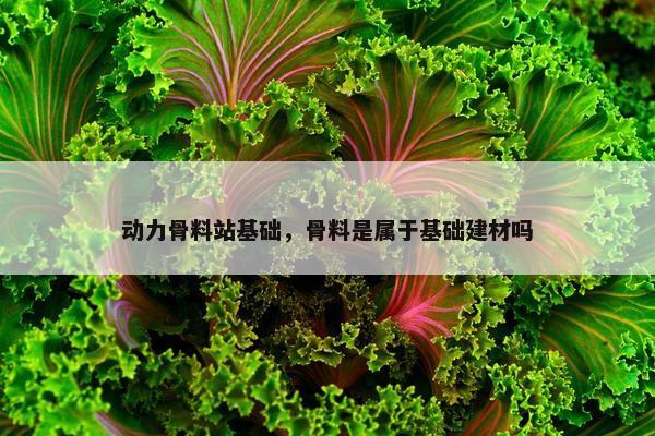 动力骨料站基础，骨料是属于基础建材吗