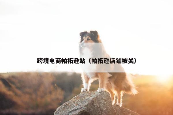 跨境电商帕拓逊站（帕拓逊店铺被关）