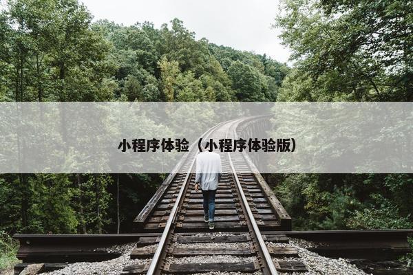 小程序体验（小程序体验版）