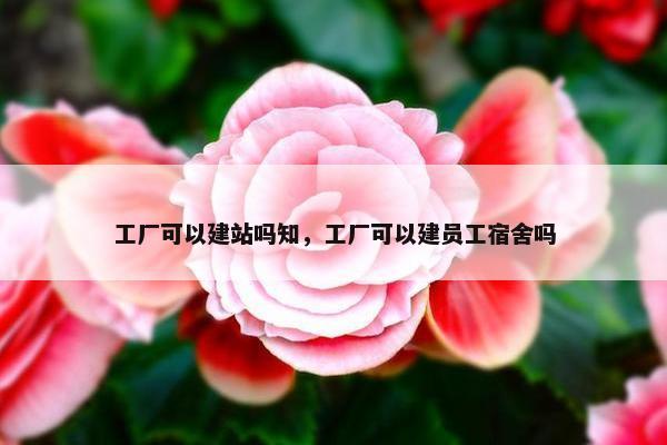 工厂可以建站吗知，工厂可以建员工宿舍吗