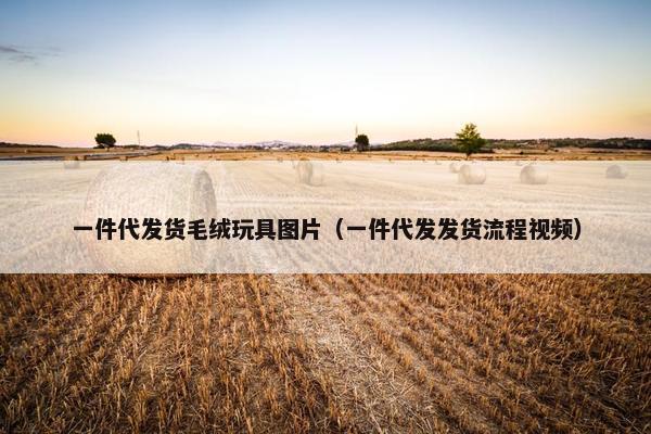 一件代发货毛绒玩具图片（一件代发发货流程视频）