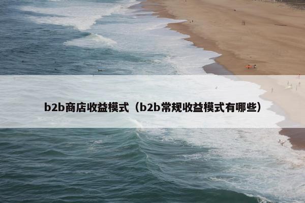 b2b商店收益模式（b2b常规收益模式有哪些）