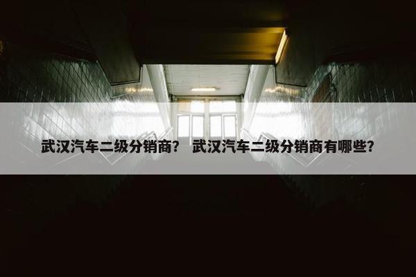 武汉汽车二级分销商？ 武汉汽车二级分销商有哪些？