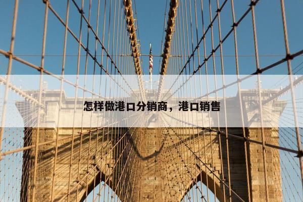怎样做港口分销商，港口销售