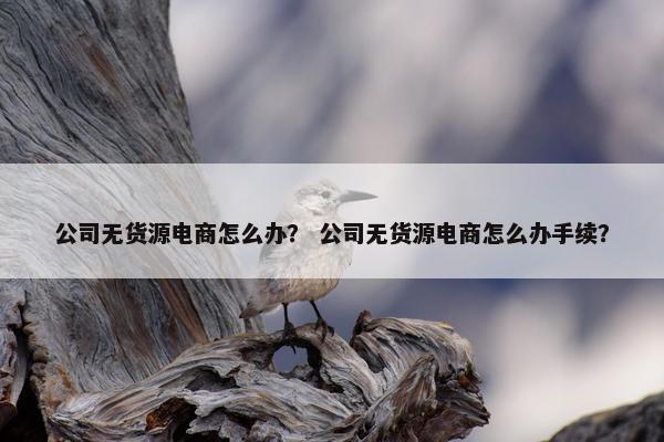公司无货源电商怎么办？ 公司无货源电商怎么办手续？