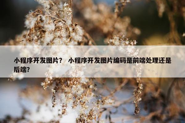 小程序开发图片？ 小程序开发图片编码是前端处理还是后端？