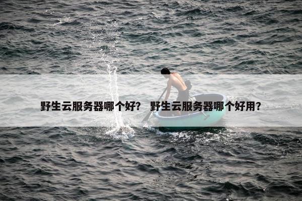 野生云服务器哪个好？ 野生云服务器哪个好用？