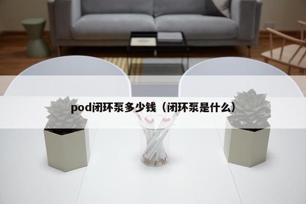 pod闭环泵多少钱（闭环泵是什么）