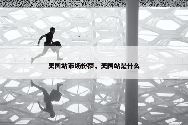 美国站市场份额，美国站是什么