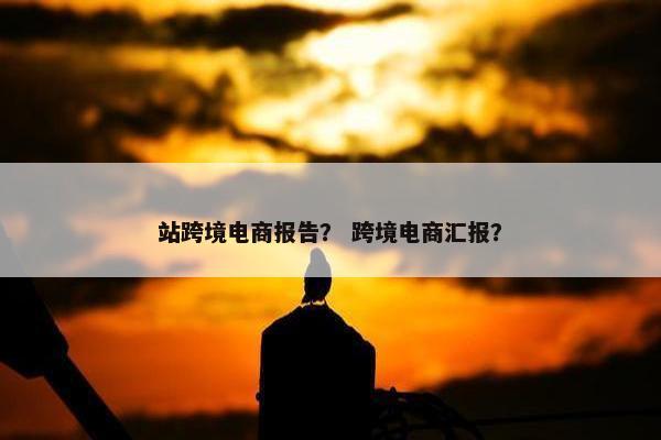 站跨境电商报告？ 跨境电商汇报？