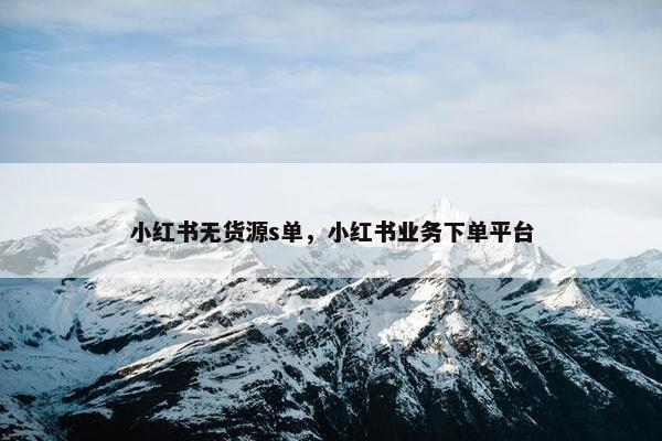 小红书无货源s单，小红书业务下单平台