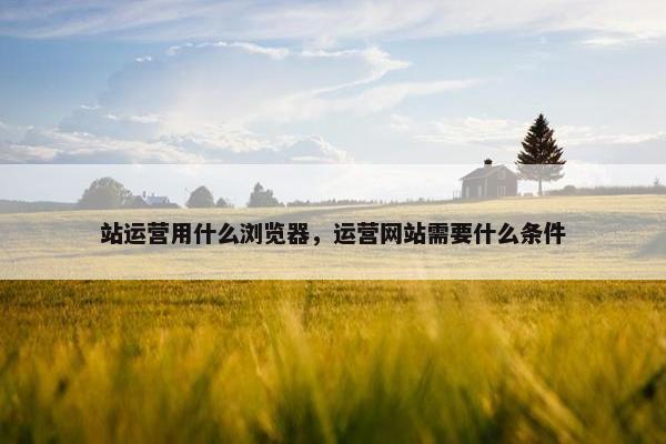 站运营用什么浏览器，运营网站需要什么条件