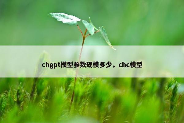 chgpt模型参数规模多少，chc模型