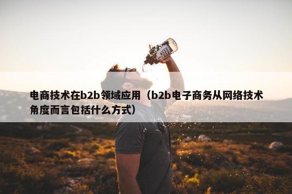 电商技术在b2b领域应用（b2b电子商务从网络技术角度而言包括什么方式）