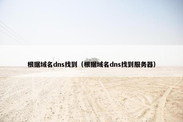 根据域名dns找到（根据域名dns找到服务器）