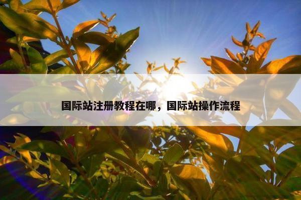 国际站注册教程在哪，国际站操作流程