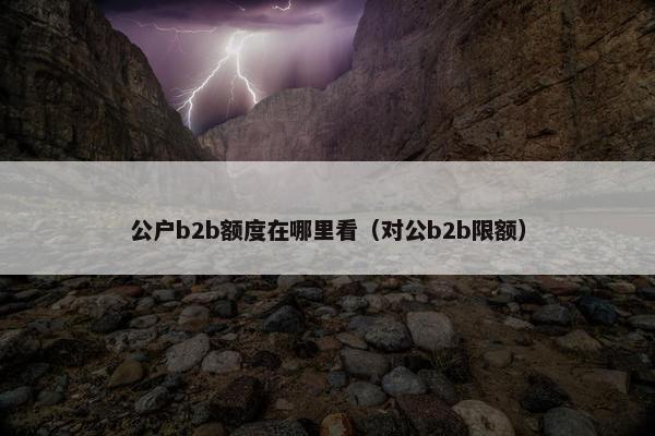 公户b2b额度在哪里看（对公b2b限额）
