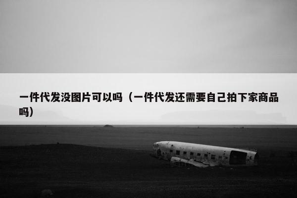 一件代发没图片可以吗（一件代发还需要自己拍下家商品吗）
