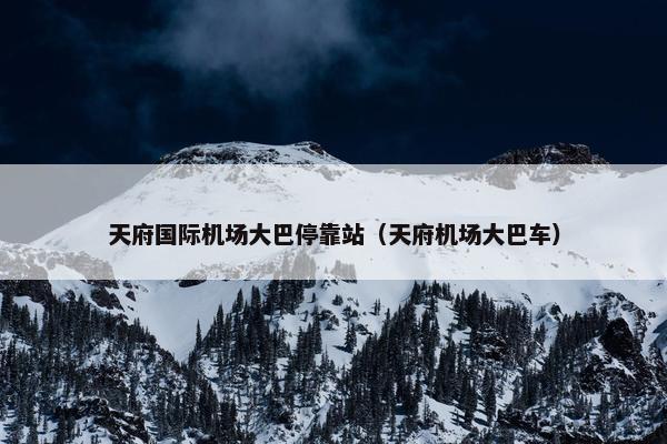 天府国际机场大巴停靠站（天府机场大巴车）