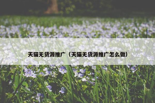 天猫无货源推广（天猫无货源推广怎么做）