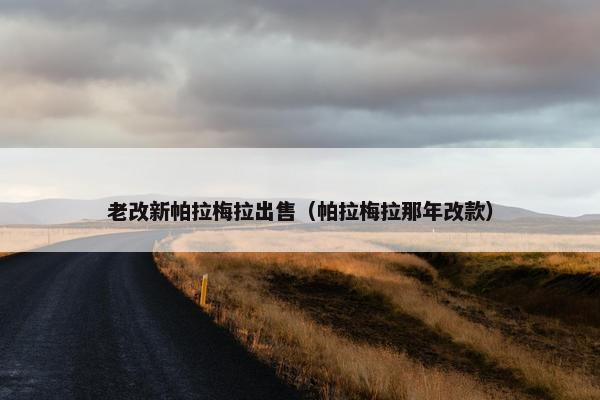 老改新帕拉梅拉出售（帕拉梅拉那年改款）