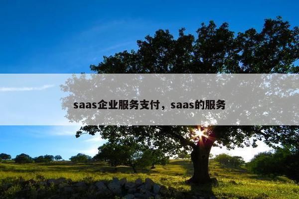 saas企业服务支付，saas的服务