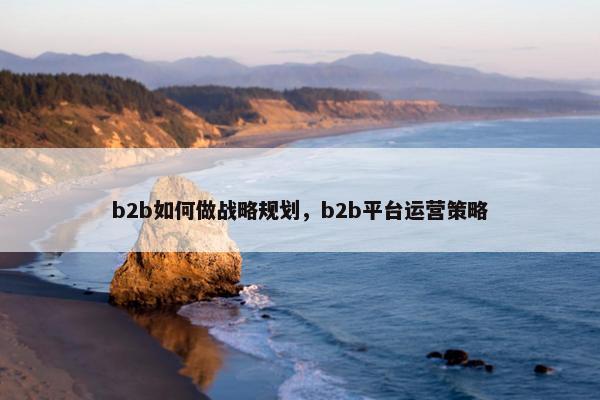 b2b如何做战略规划，b2b平台运营策略