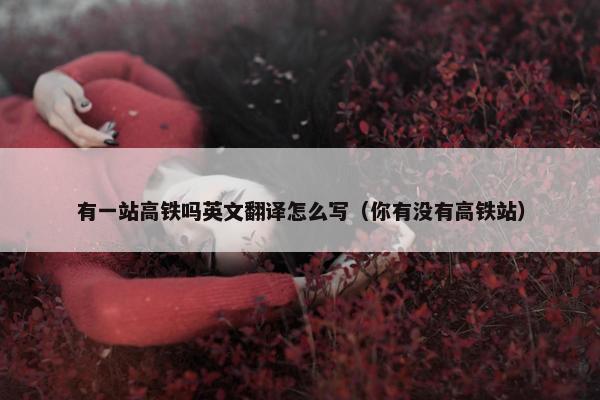 有一站高铁吗英文翻译怎么写（你有没有高铁站）